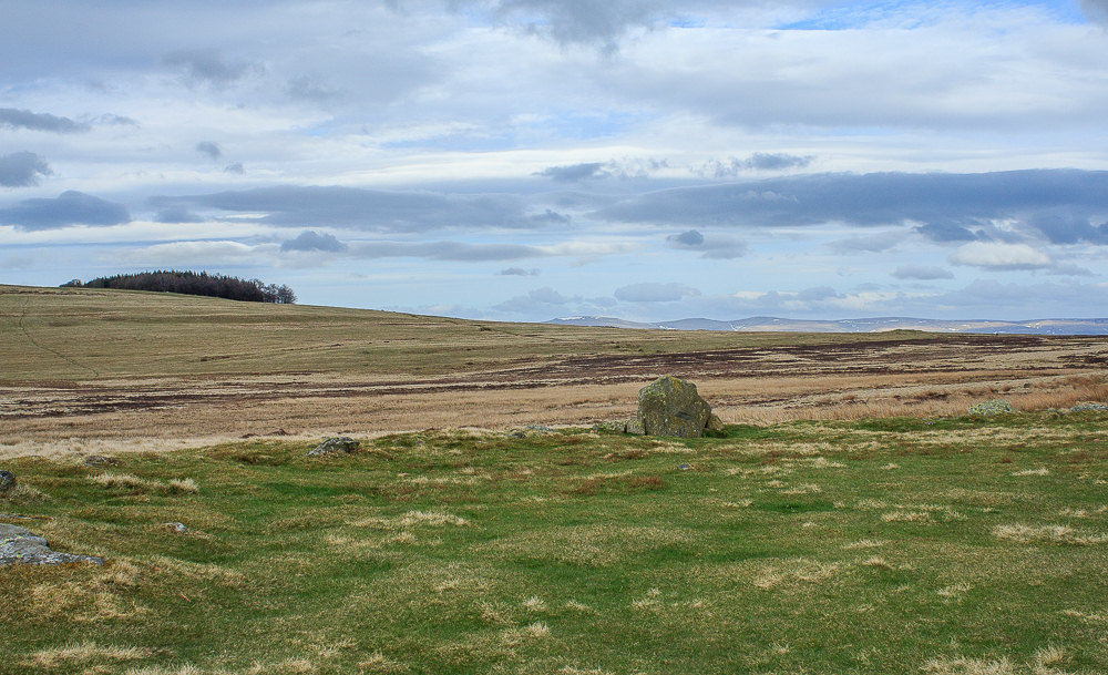 Moor Divock Moor Divock